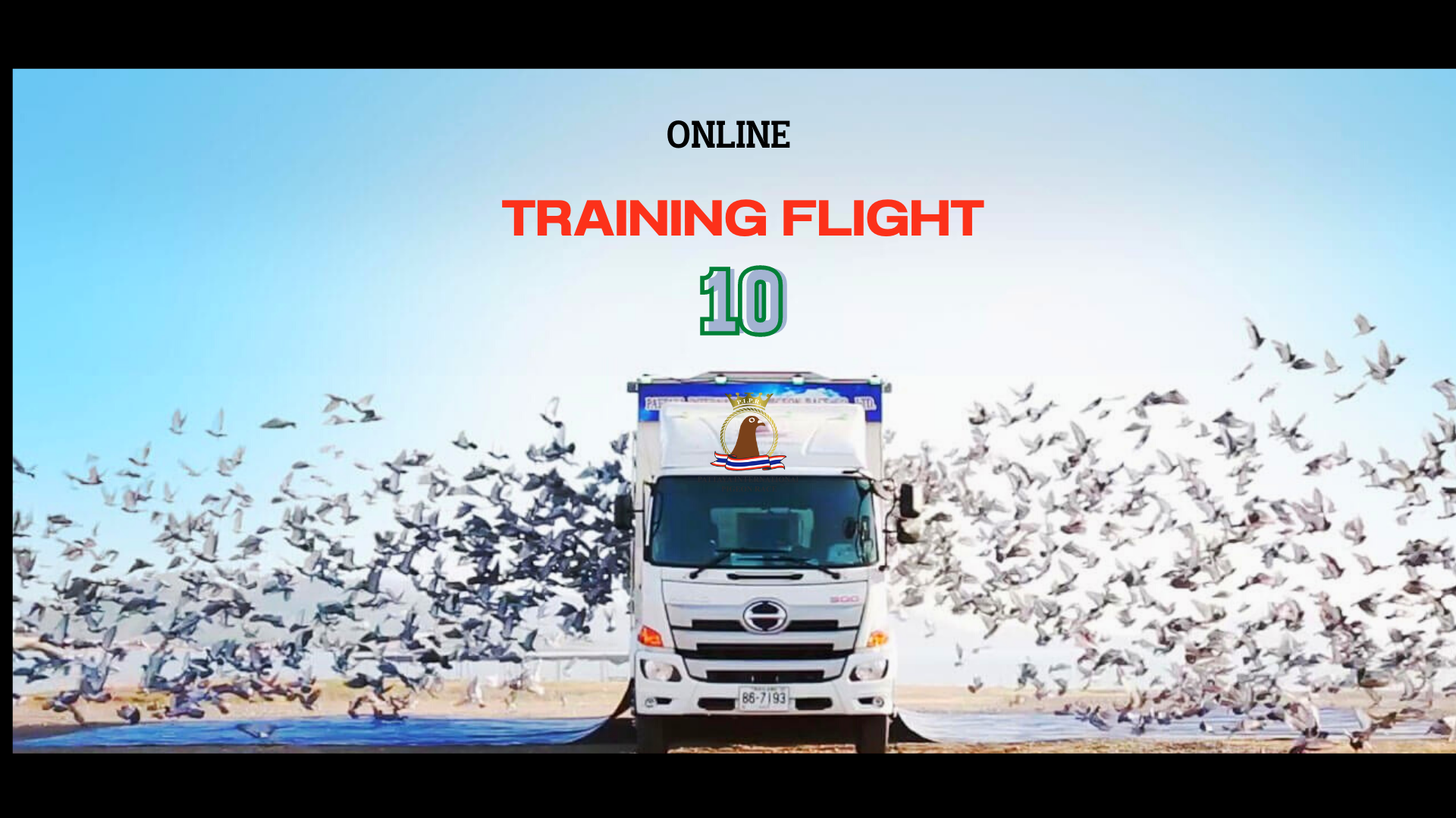 Training Flight 10